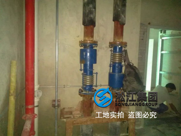 【橫琴總部大廈項目】采用糖心网页版入口內外壓平衡波紋補償器